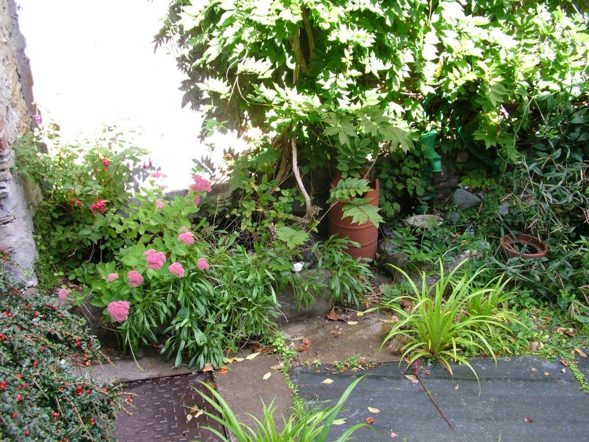 Geranium Cottage, Lostwithiel Exteriér fotografie